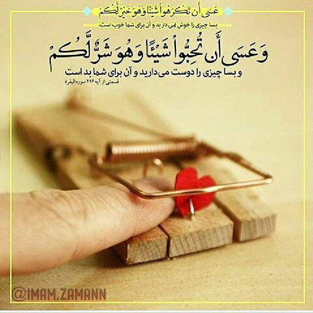 سوره بقره،آیه 216